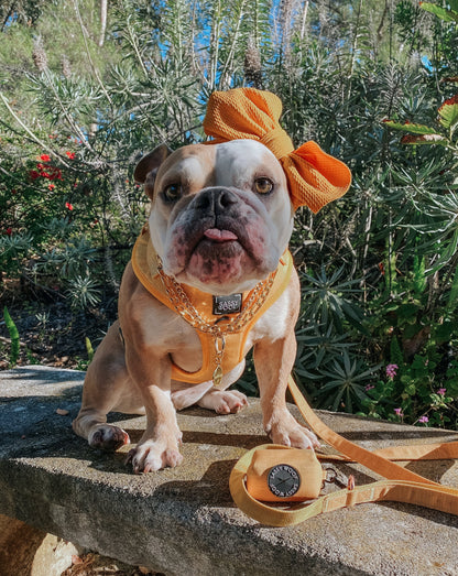 Dog Adjustable Harness - Sunflower Fields