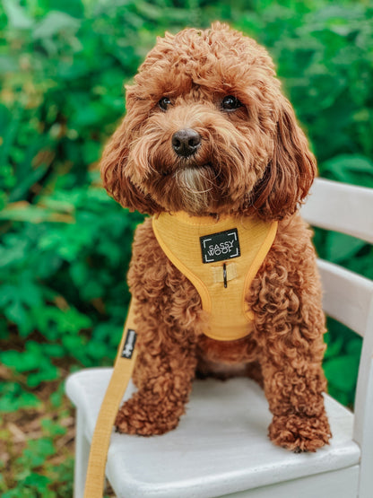 Dog Adjustable Harness - Sunflower Fields