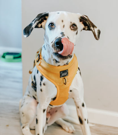 Dog Adjustable Harness - Sunflower Fields