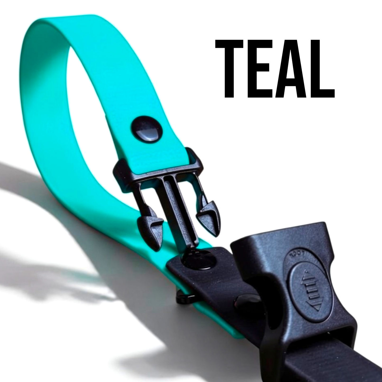 Sport Collection Leashes