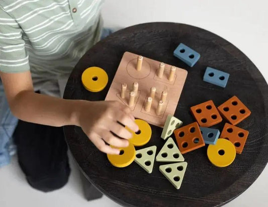 Montessori Shape Puzzle Toy | LYTL®️