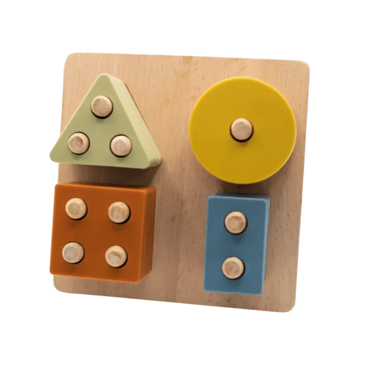 Montessori Shape Puzzle Toy | LYTL®️