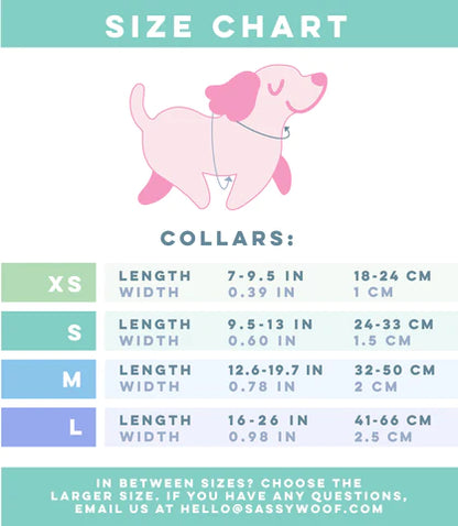 Dog Collar - Summer Sorbet