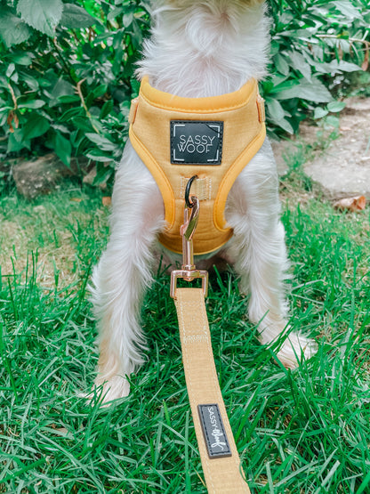 Dog Leash - Sunflower Fields