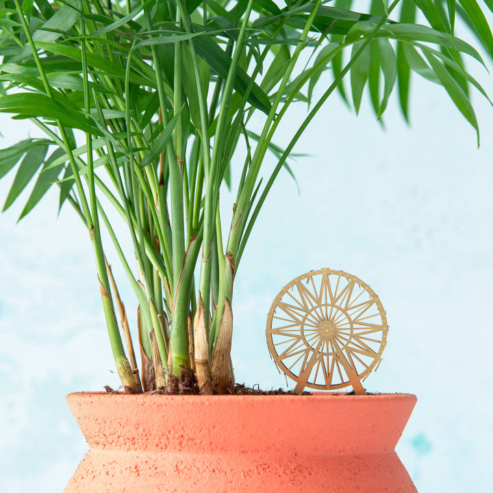 Ferris Wheel Mini Model - Terrarium Decor DIY Kit