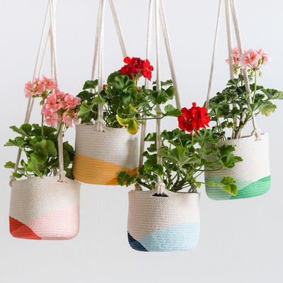 Closed Mondays 6" Hanging Planter (Mint/Green)