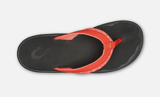 OluKai Women's 'Ohana Koa Sandal (Hibiscus)