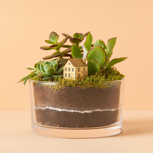 House Mini Model - Terrarium Decor DIY Kit