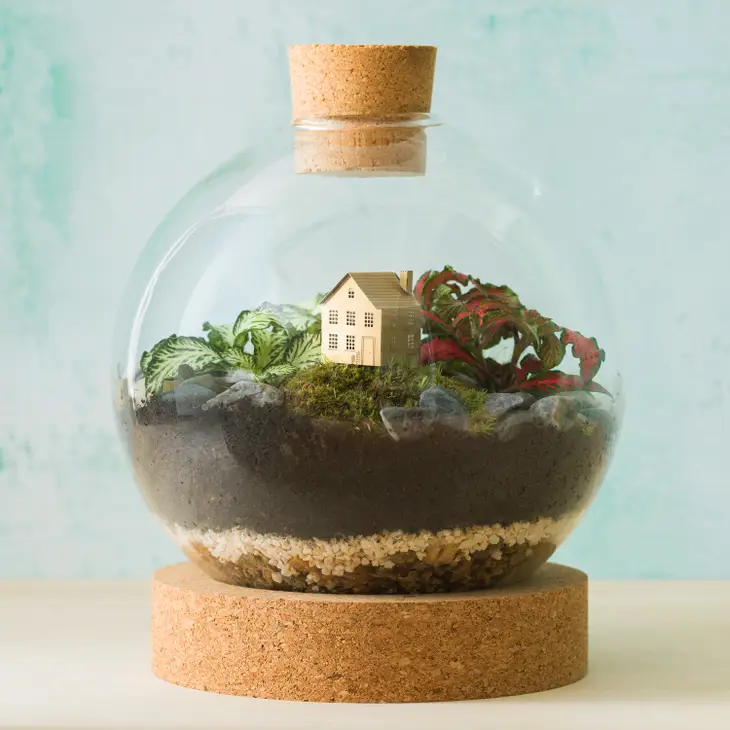House Mini Model - Terrarium Decor DIY Kit